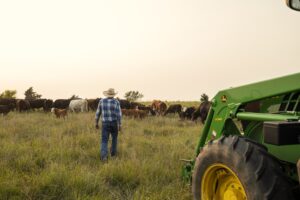 Papé Celebrates National Dairy Month