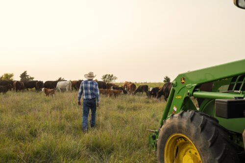 Papé Celebrates National Dairy Month