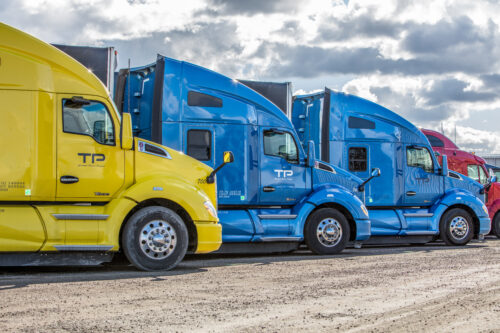 5 Reasons to Rent from Papé