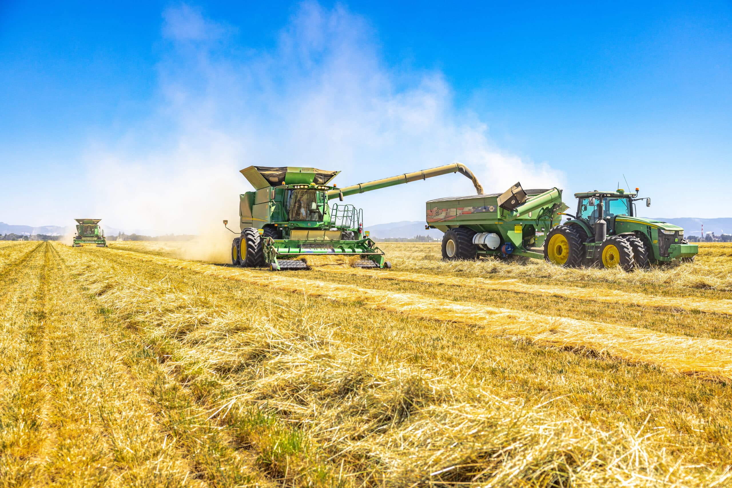 hay and forge