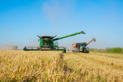 Partnering with Lundberg Family Farms