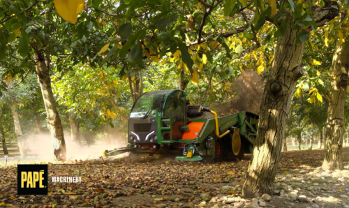 Successful Hazelnut Harvests in the Fall Start with Spring Preparation