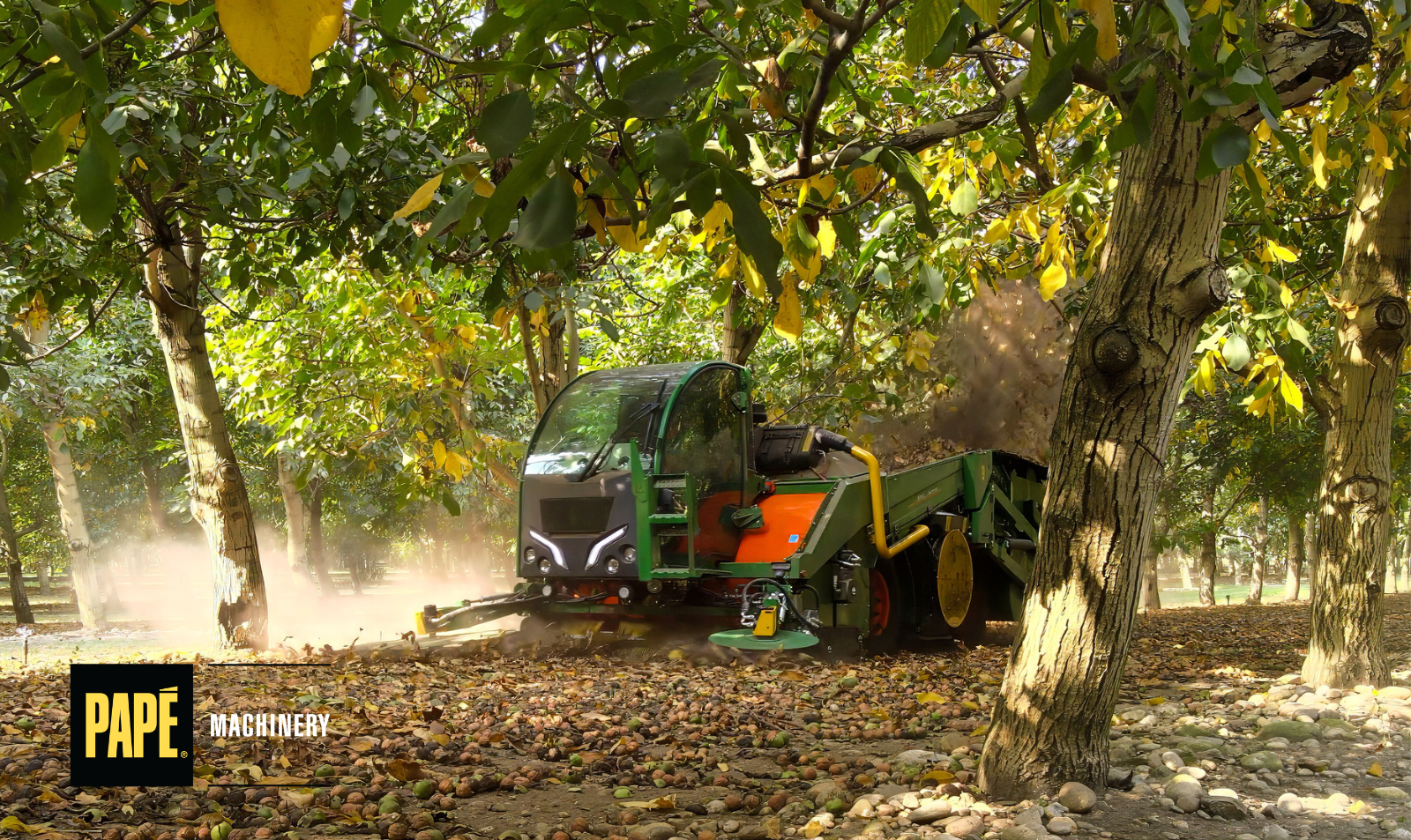 Monchiero hazelnut harvesting machine collecting nuts in a commercial orchard