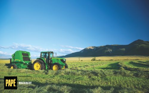Berry Harvest Prep: Get Ready for High Summer Picking in Washington and Idaho