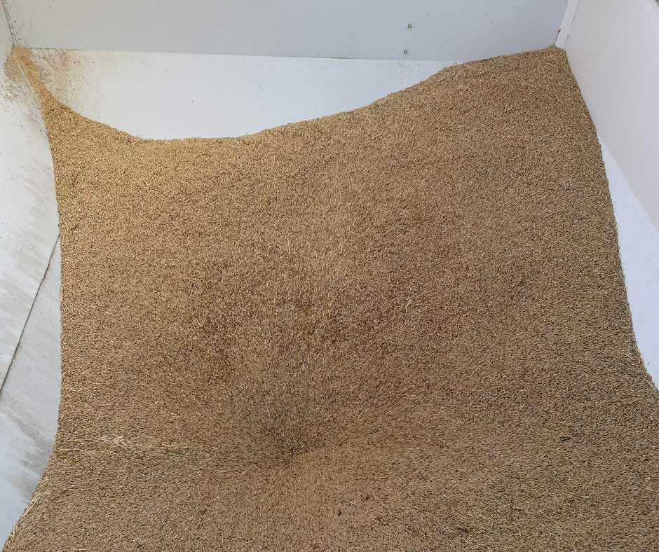 Beige carpet sample laid out on white surface showing texture and color.